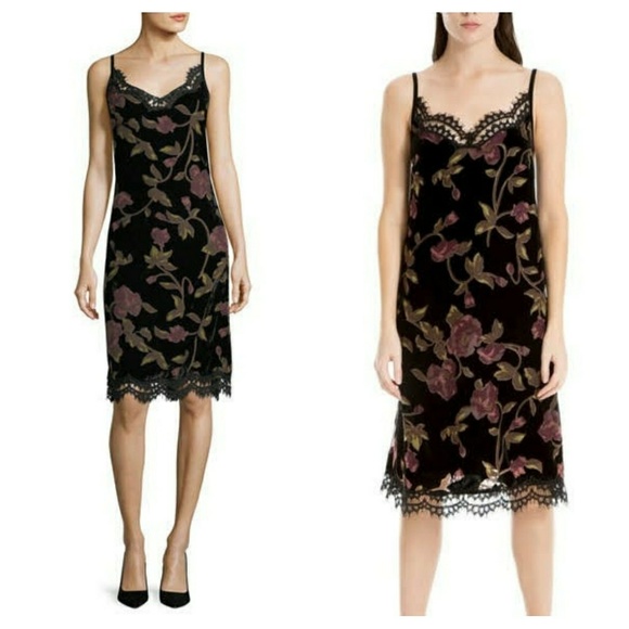 Max Studio Devere`Burned out Velvet Dres - Picture 4 of 8